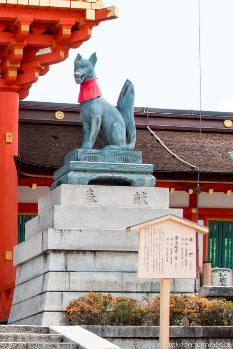 Inari Fox