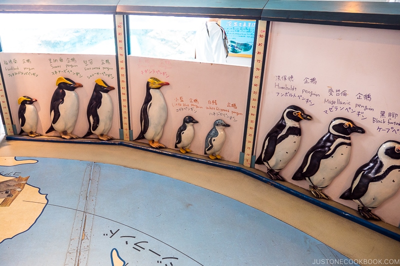 figures of different types of penguins on the wall