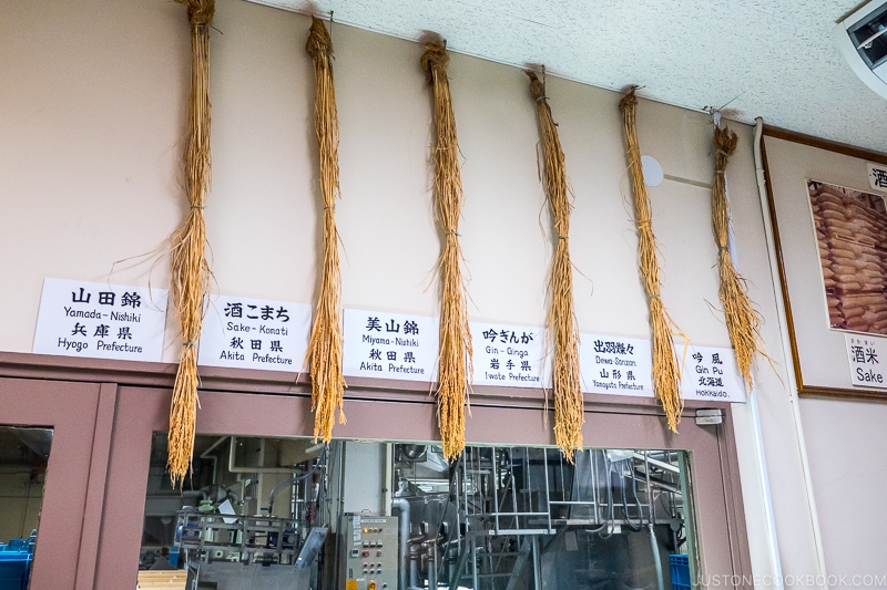 various types of rice hanging from the ceiling