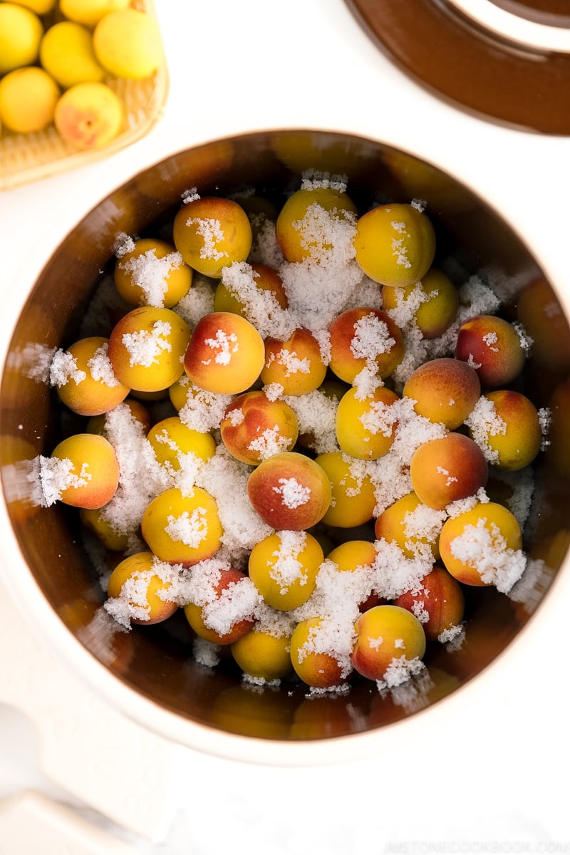 A crock containing ume plums and salt.