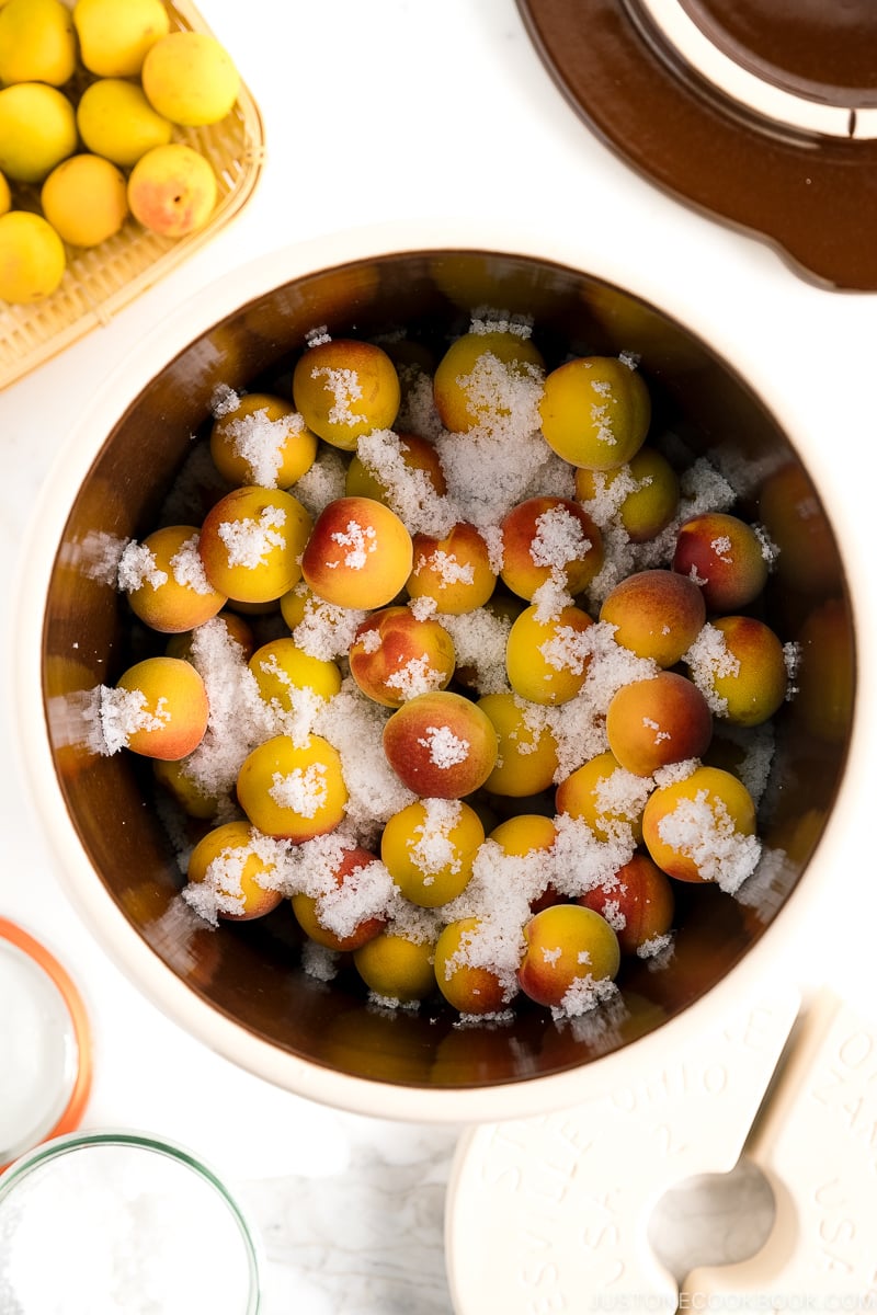 A crock containing ume plums and salt.