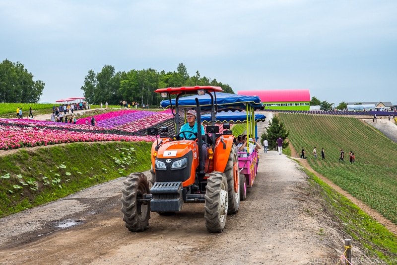 tractors pulling tourists at Panoramic Flower Gardens Shikisai-no-oka