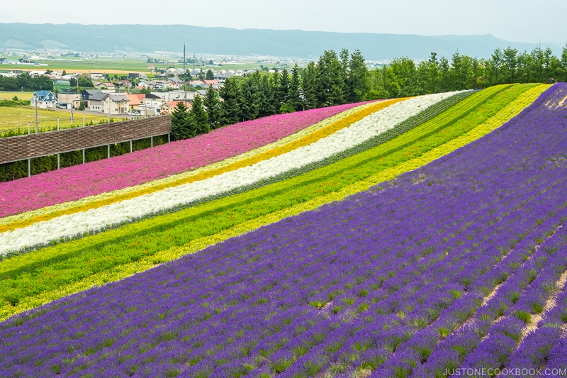 Hokkaido Furano Travel Guide