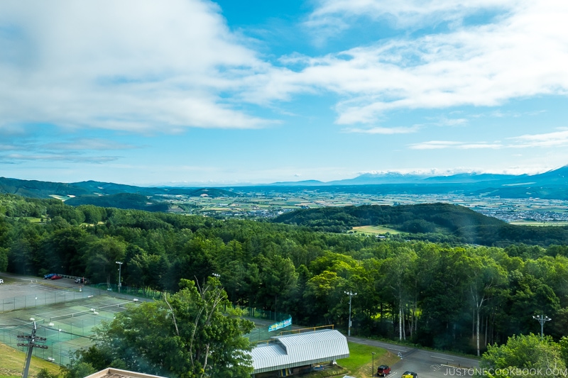 view of Furano from New Furano Prince Hotel