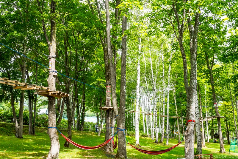 the course at Tree Adventure Furano