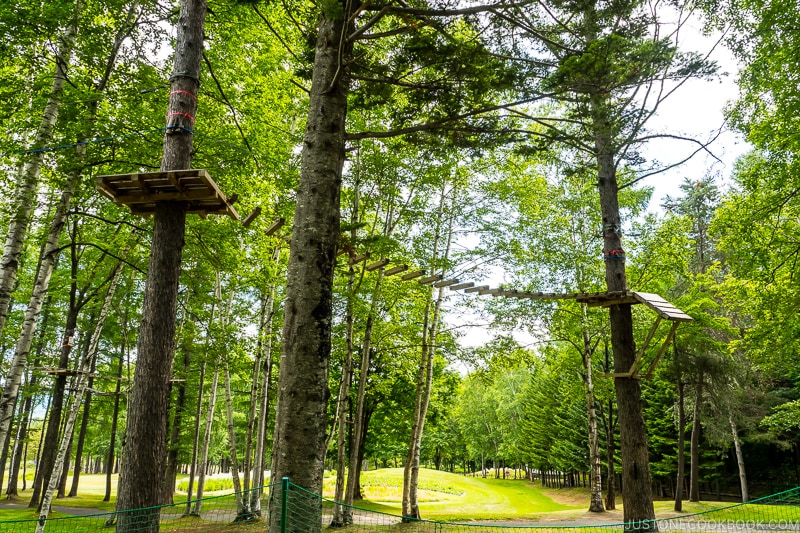 the course at Tree Adventure Furano