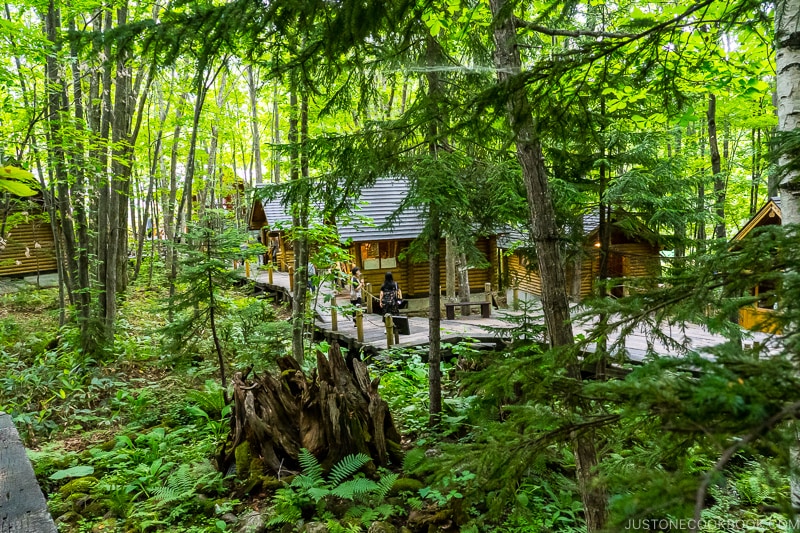 the wooden shops at Ningle Terrace inside a forest