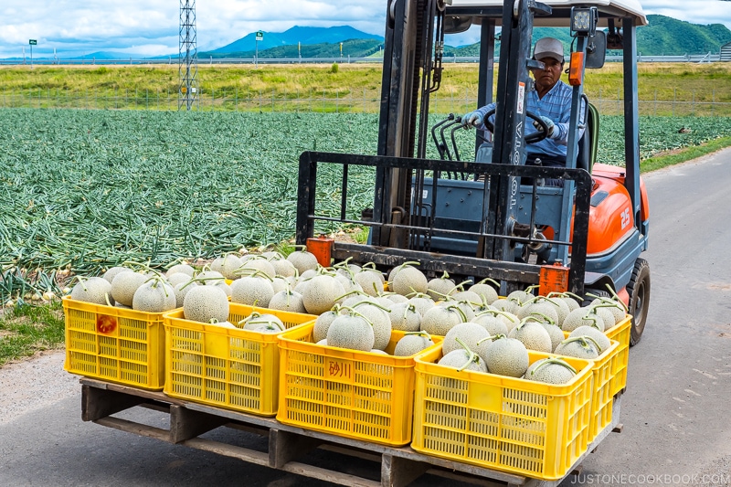 Furano melons in plastic containers on a forklift