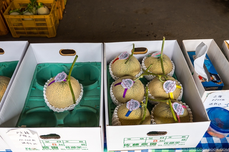 Furano melon inside boxes