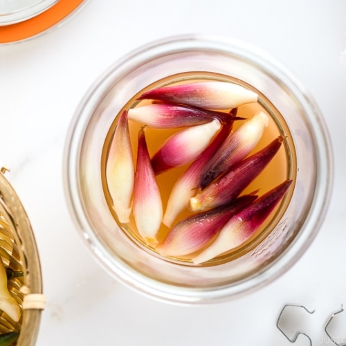 A Weck jar containing Japanese ginger sweet pickles (Myoga Amazuzuke).