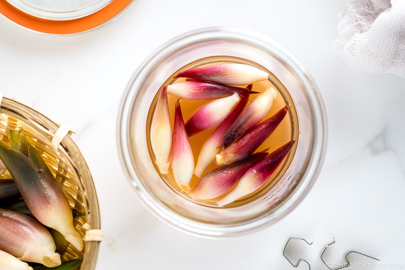 A Weck jar containing Japanese ginger sweet pickles (Myoga Amazuzuke).