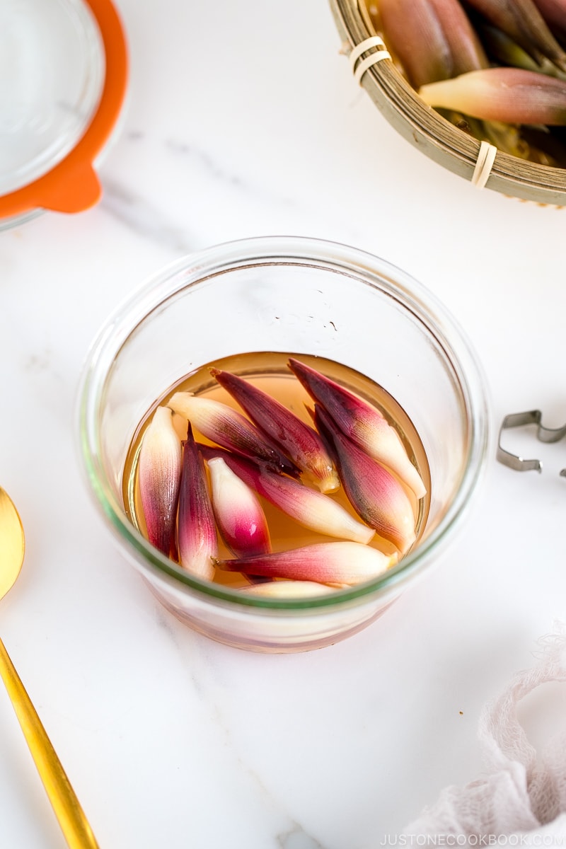 A Weck jar containing Japanese ginger sweet pickles (Myoga Amazuzuke).