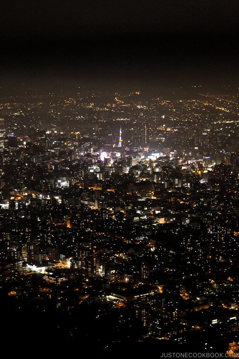 nighttime view Sapporo from Mount Moiwa Observation Deck