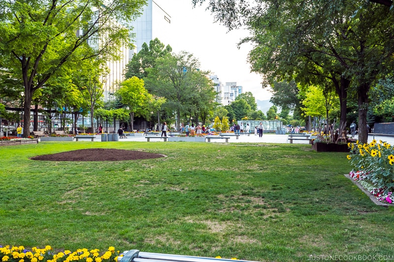 grass field at Sapporo Odori Park