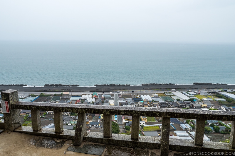 looking out over the railing at Suruga Bay