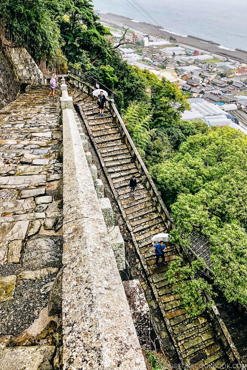 looking down at stone step with Suruga Bay in the back