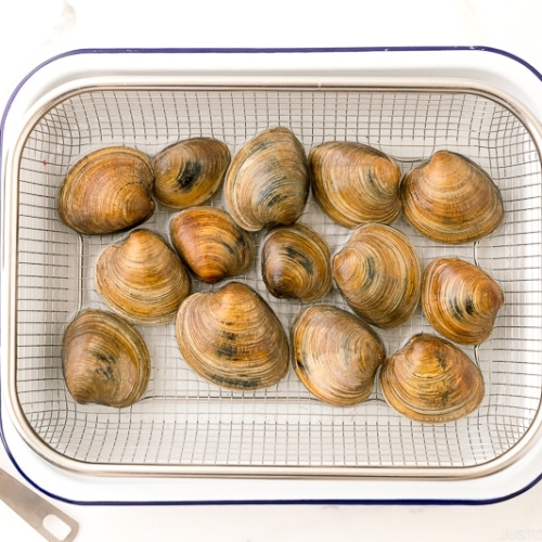 How To Clean Clams - Truly Gets The Sand And Gunk Out Of The Inside