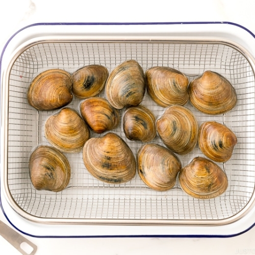 Clams being cleaned over a wire rack.