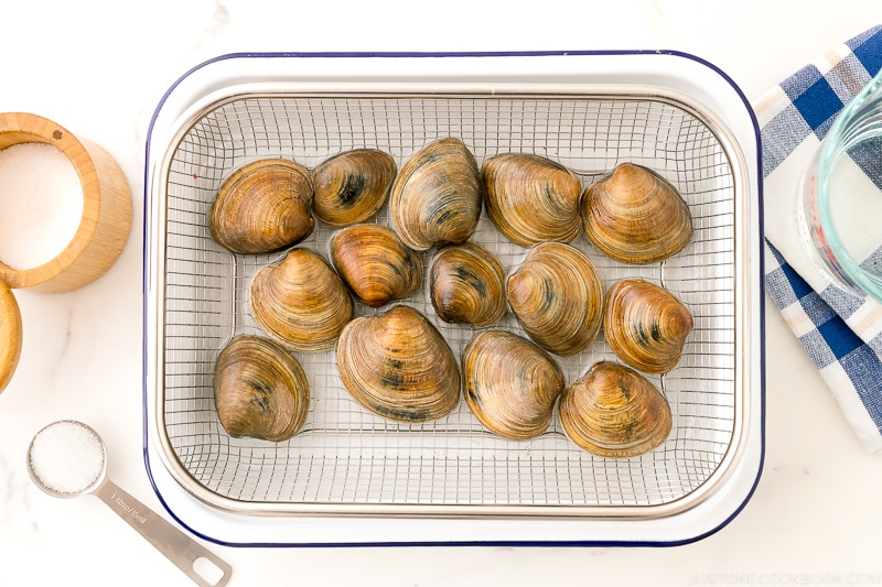 clams in water