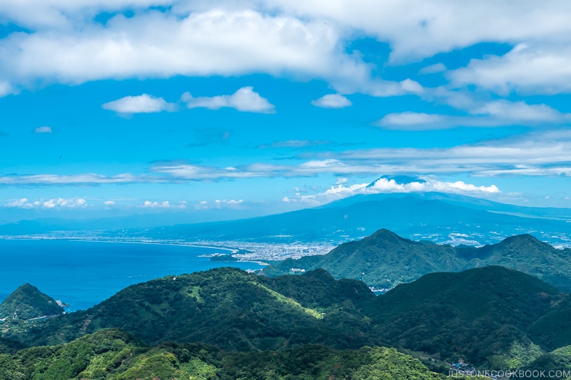 view of Mt Fuji and Suruga Bay