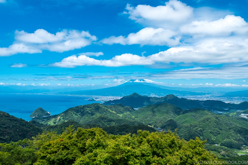 view of Mt. Fuji and Suruga Bay