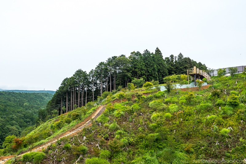 a wooden deck on a hill