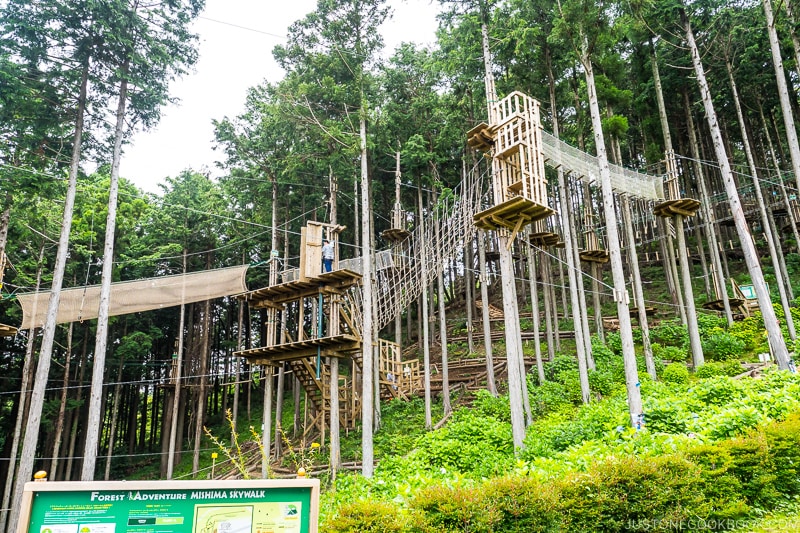 obstacle course made from wood and rope