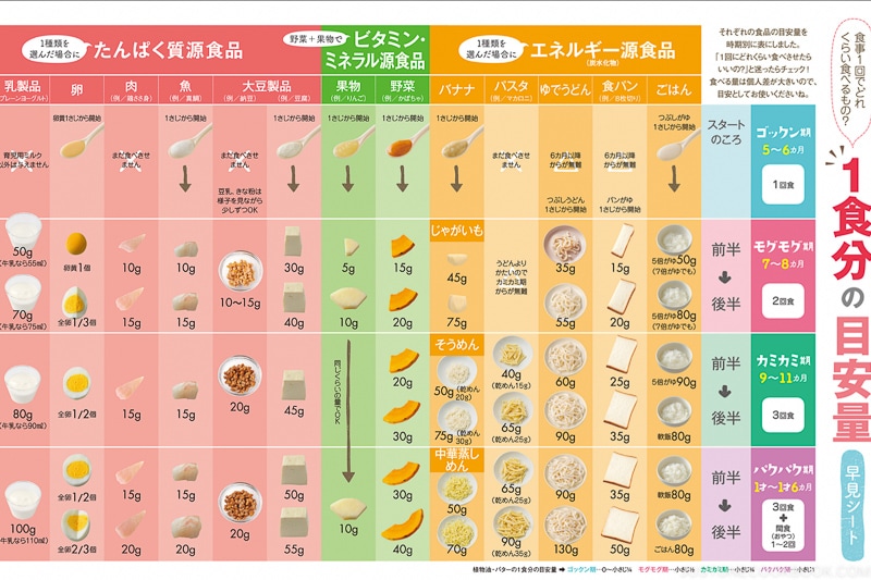 Solid Feeding Stages Guide for Babies