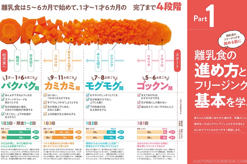 Solid Feeding Stages Guide for Babies