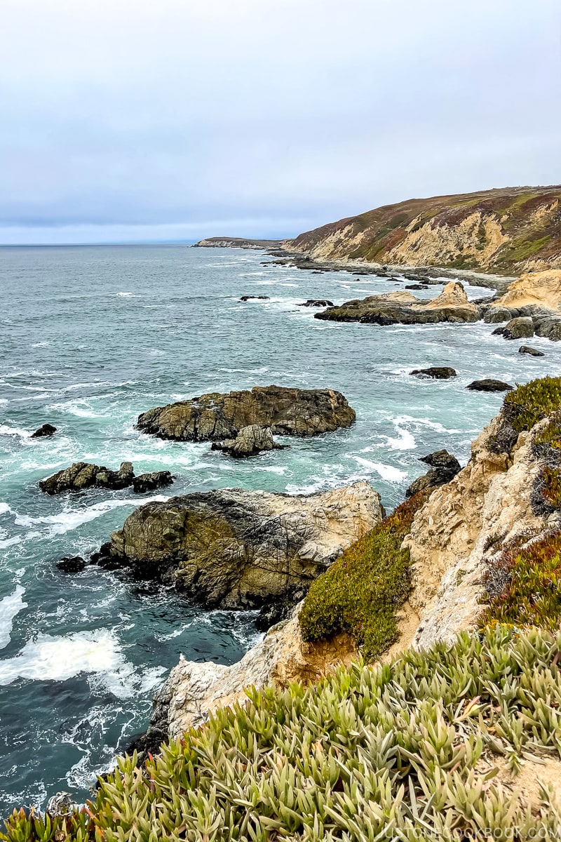 Bodega Marine Reserve