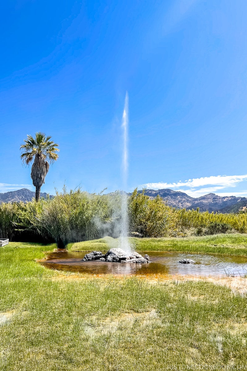 the Old Faithful Geyser of California erupting