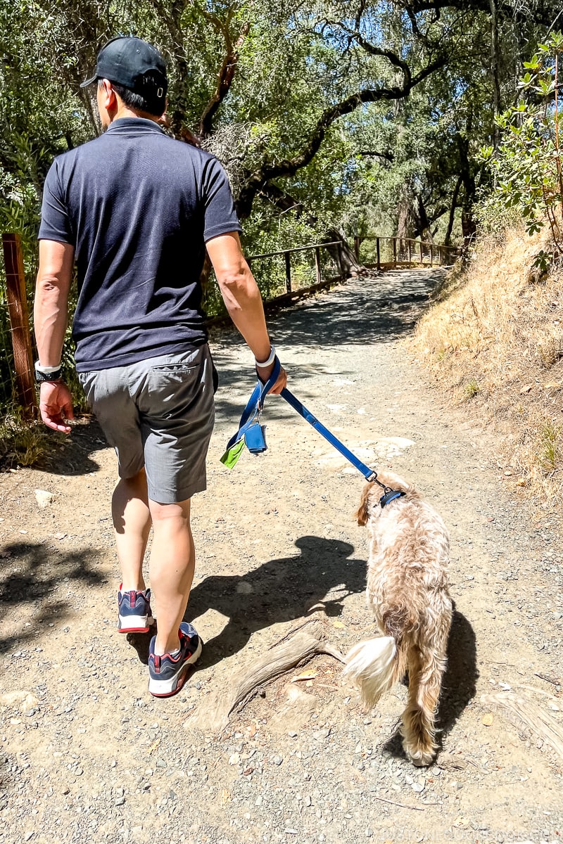 man and dog walking on trail