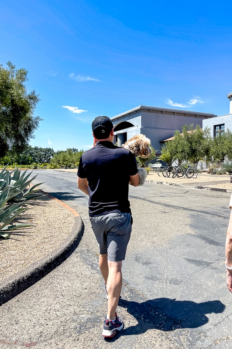 man holding dog walking on a road