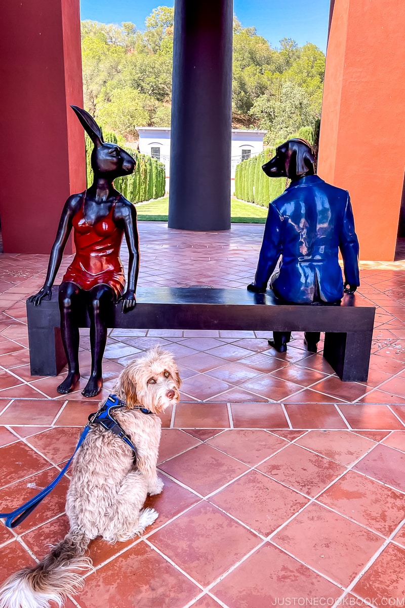 dog next to two statues