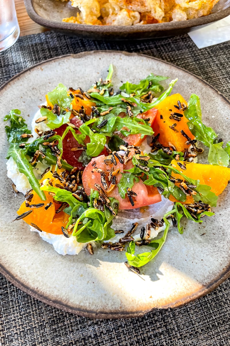 Heirloom Tomato, Stone Fruit & Ricotta Sala