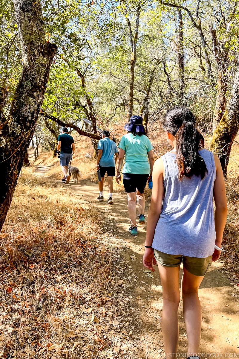 family on a hike in the woods