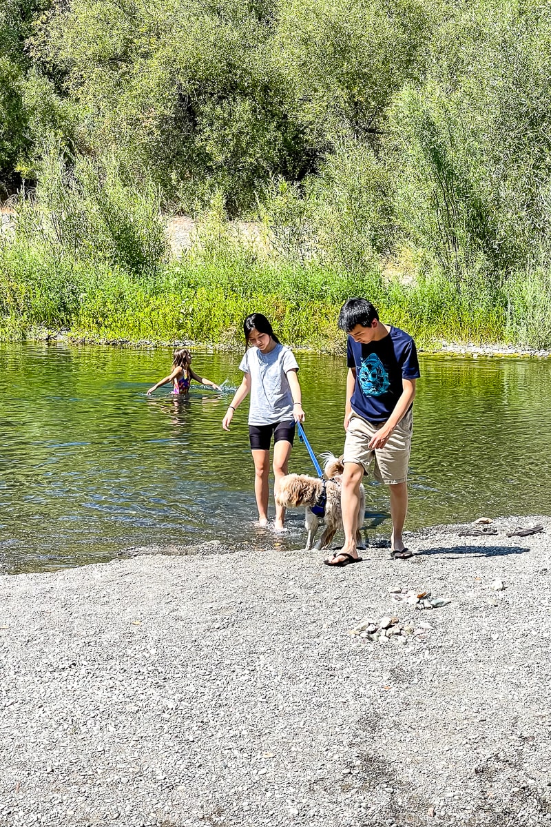 a boy a girl and a dog in a river