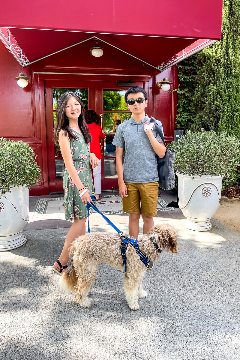 a boy and girl with a dog on a leash