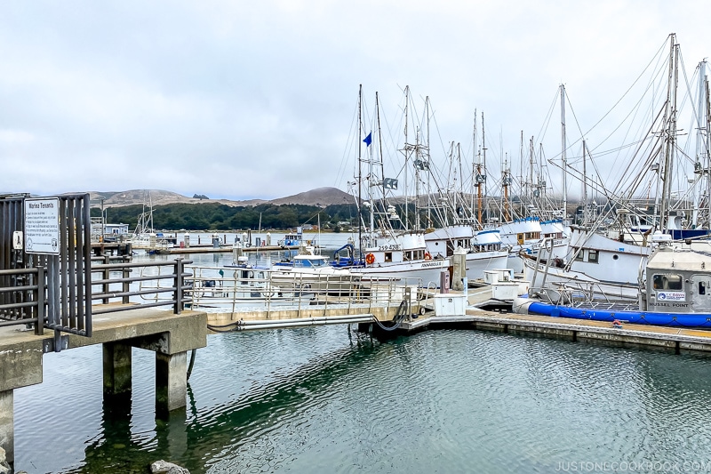 boats in Bodega Harbor