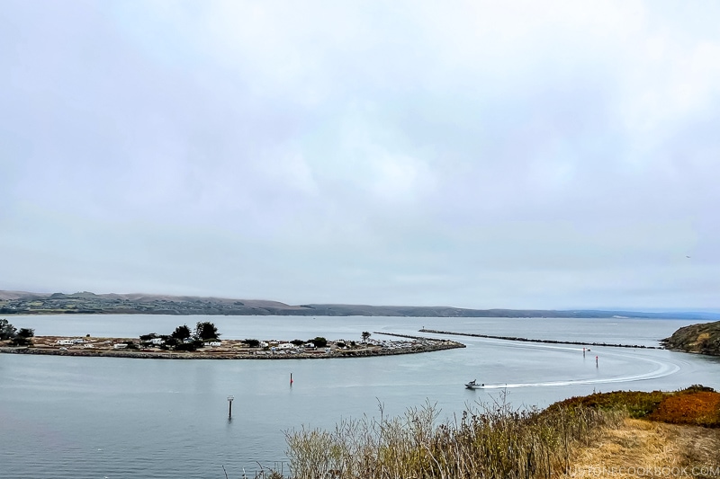 Bodega Harbor