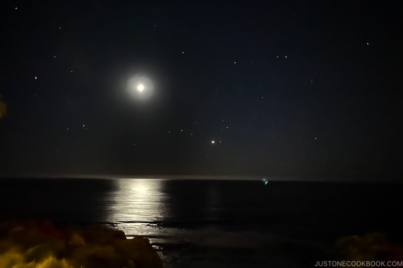 moonlight over the ocean