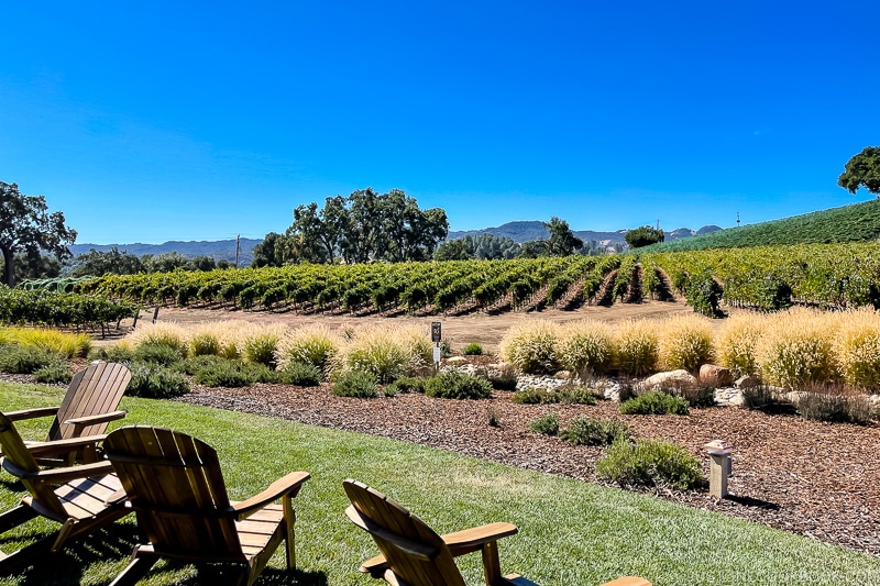 chairs on lawn facing vineyard