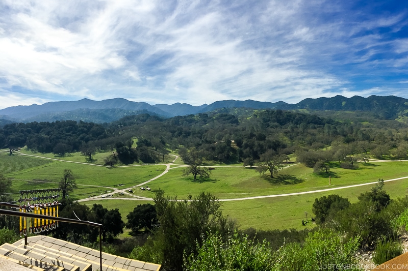 view of a field and trees from hilltop