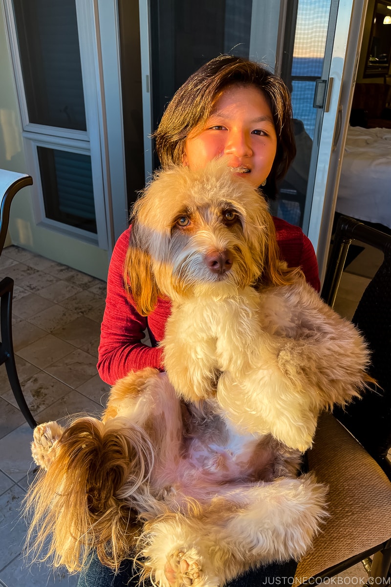 a girl holding a dog