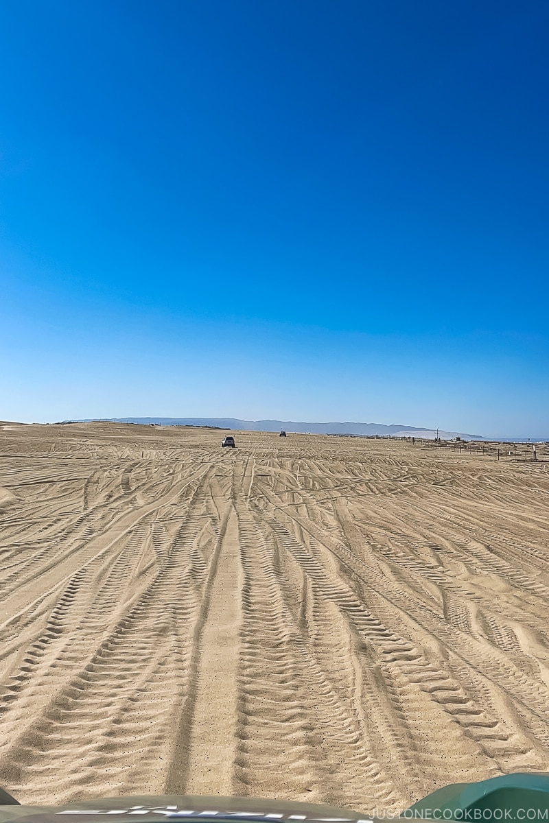 Pismo Beach