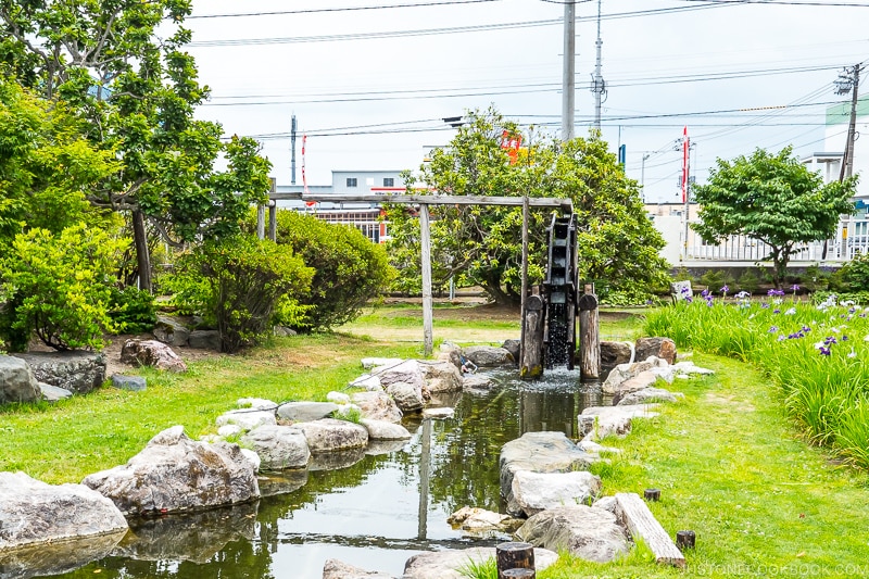 a water wheel in a pond