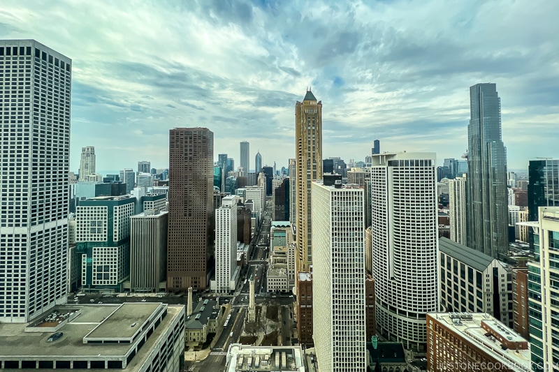 view of Chicago skyline