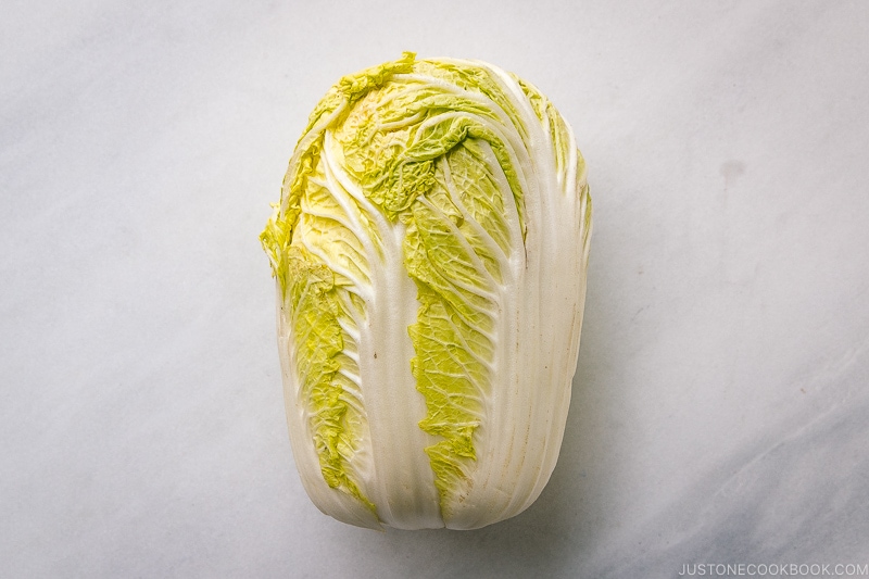 Napa Cabbage (Hakusai)