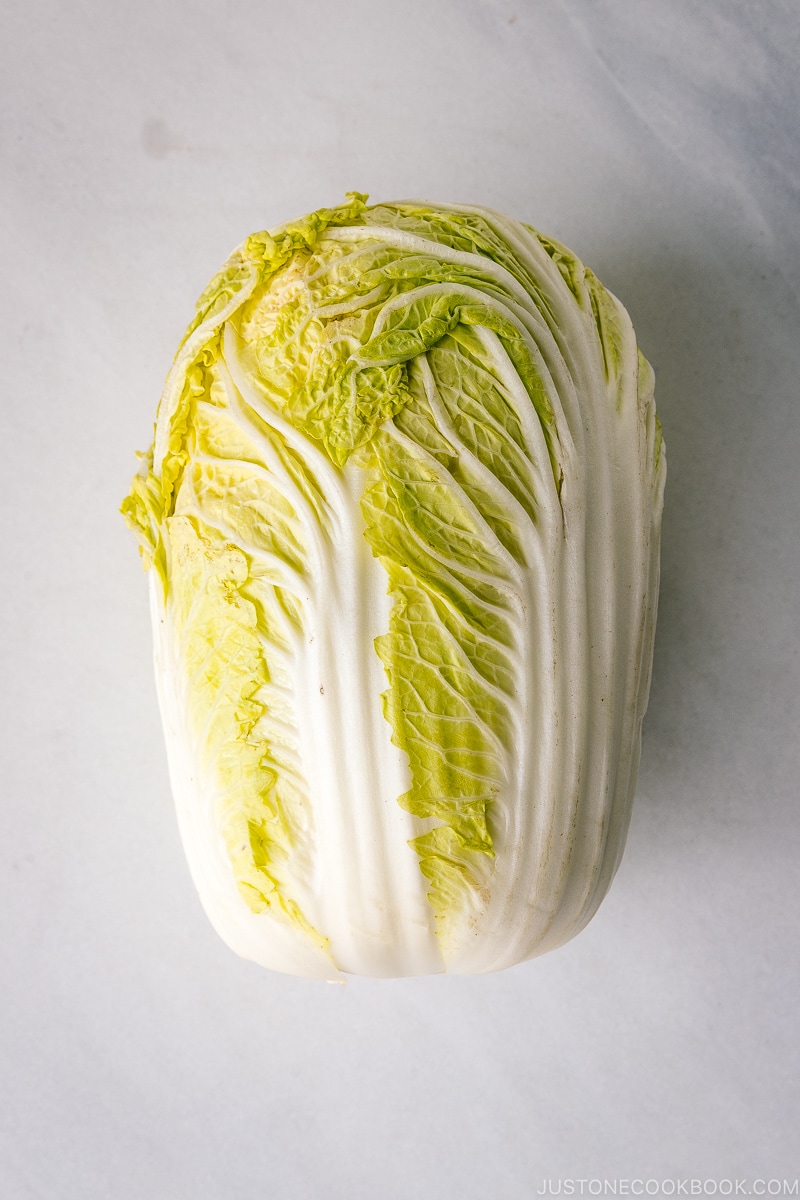 Napa Cabbage (Hakusai)