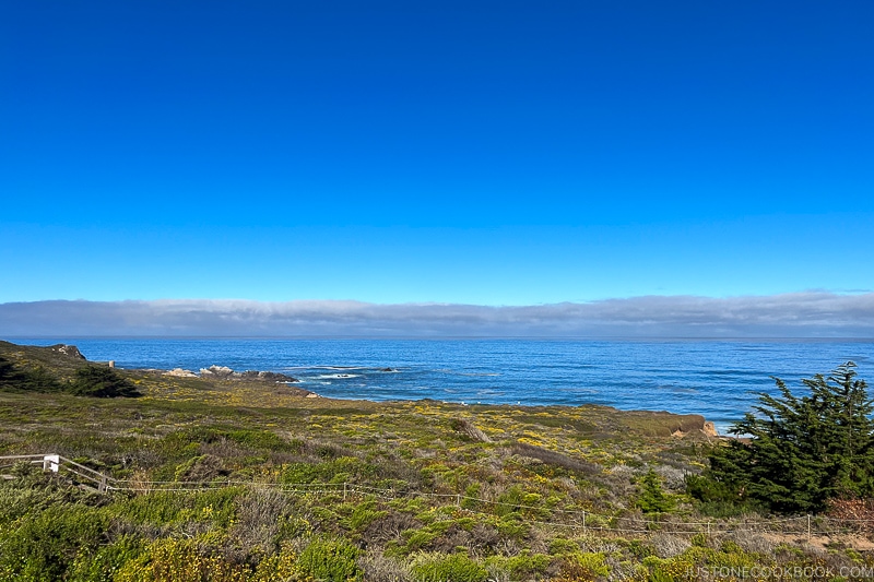 Garrapata Beach